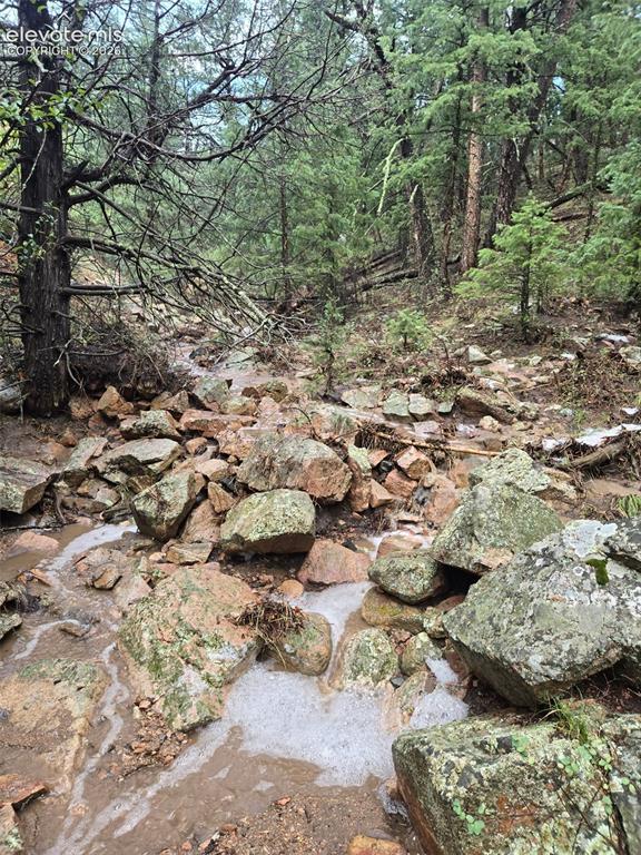 Image 17 of 33: Creek