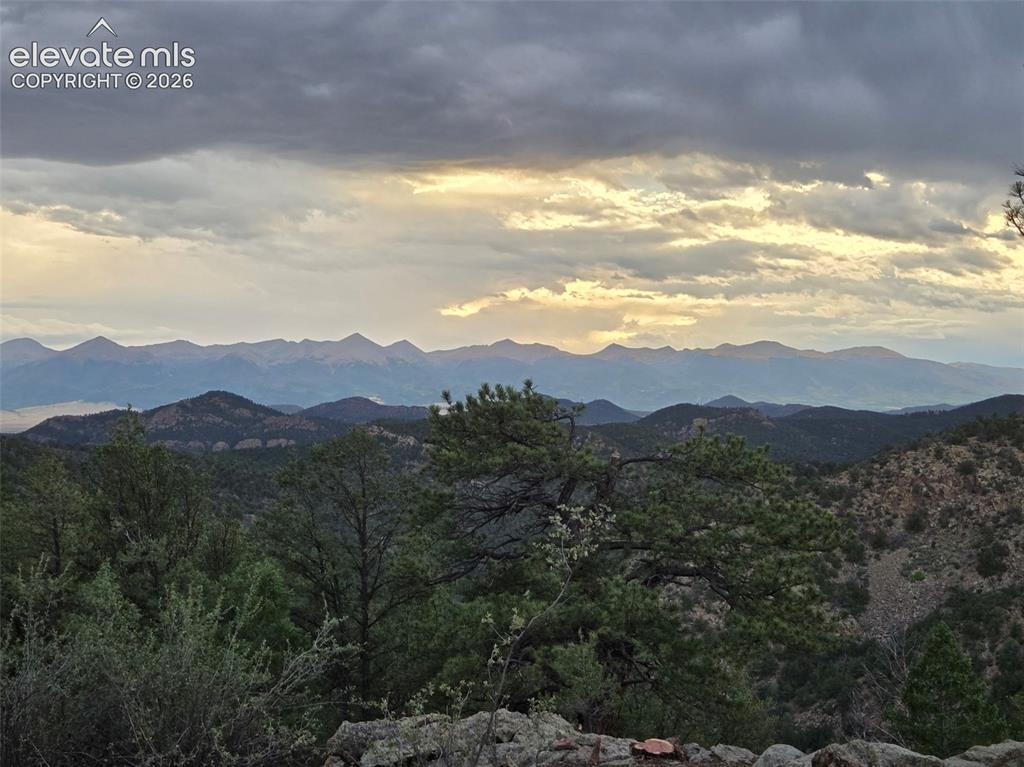 Image 2 of 33: Expansive mountainous terrain with a prominent tree line and a dramatic sky