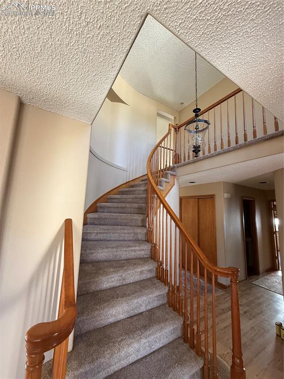 Image 2 of 31: Other