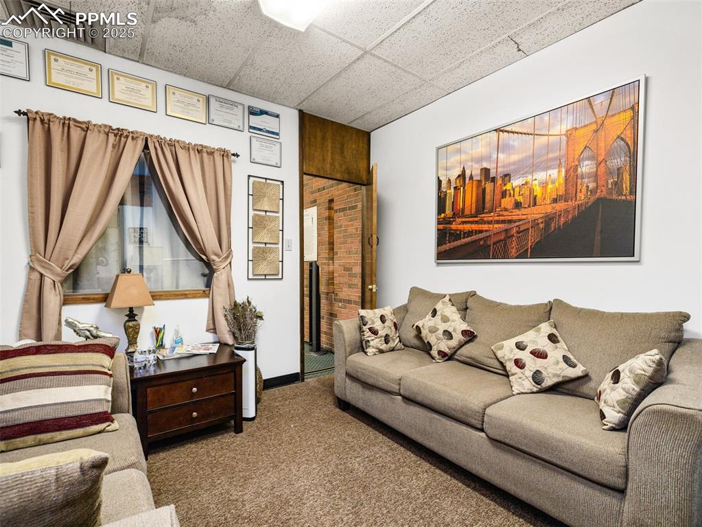 Image 30 of 49: Living room featuring a drop ceiling and carpet