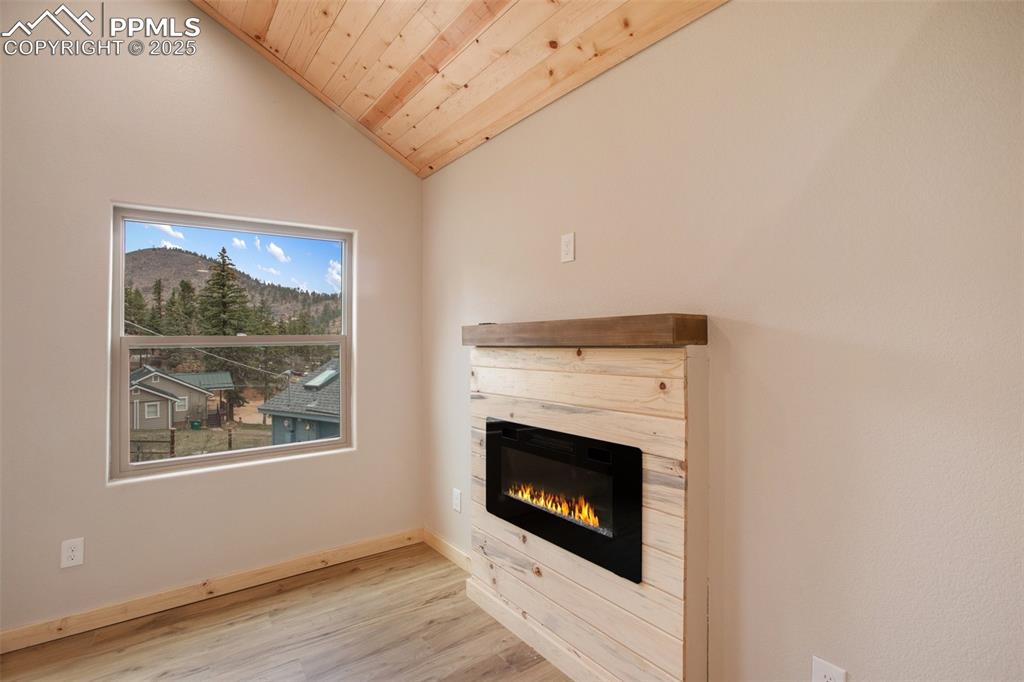 Image 18 of 50: Fireplace