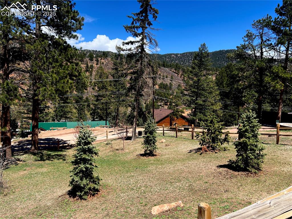 Image 37 of 50: Park behind cabin