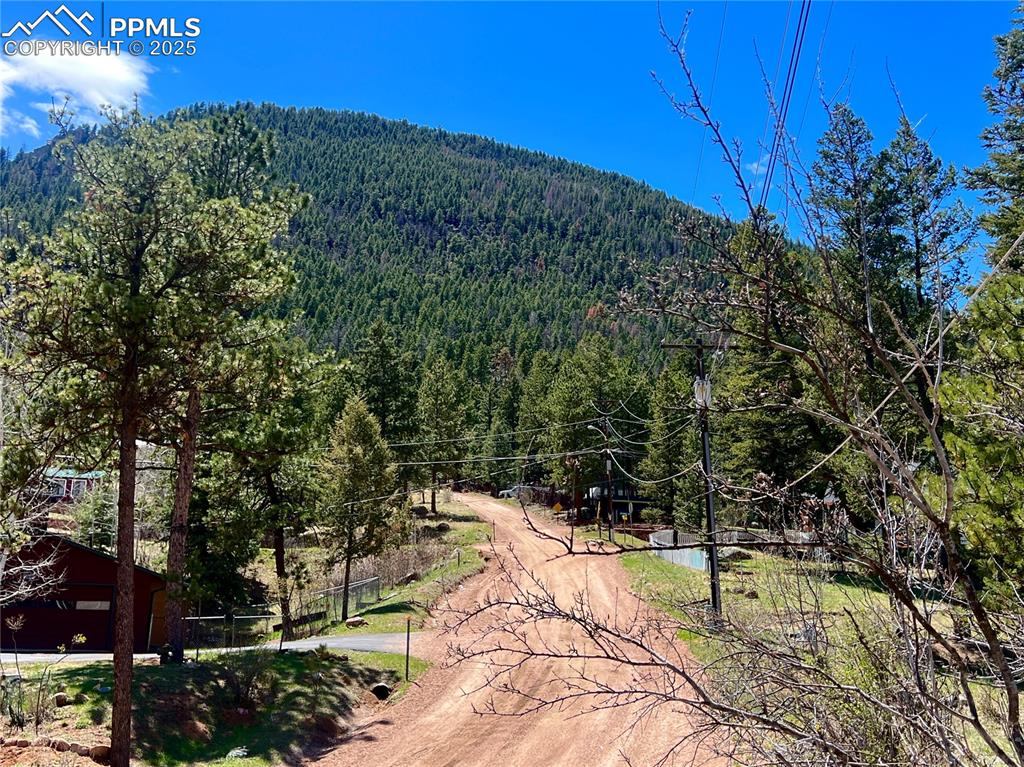 Image 44 of 50: Road in front of cabin