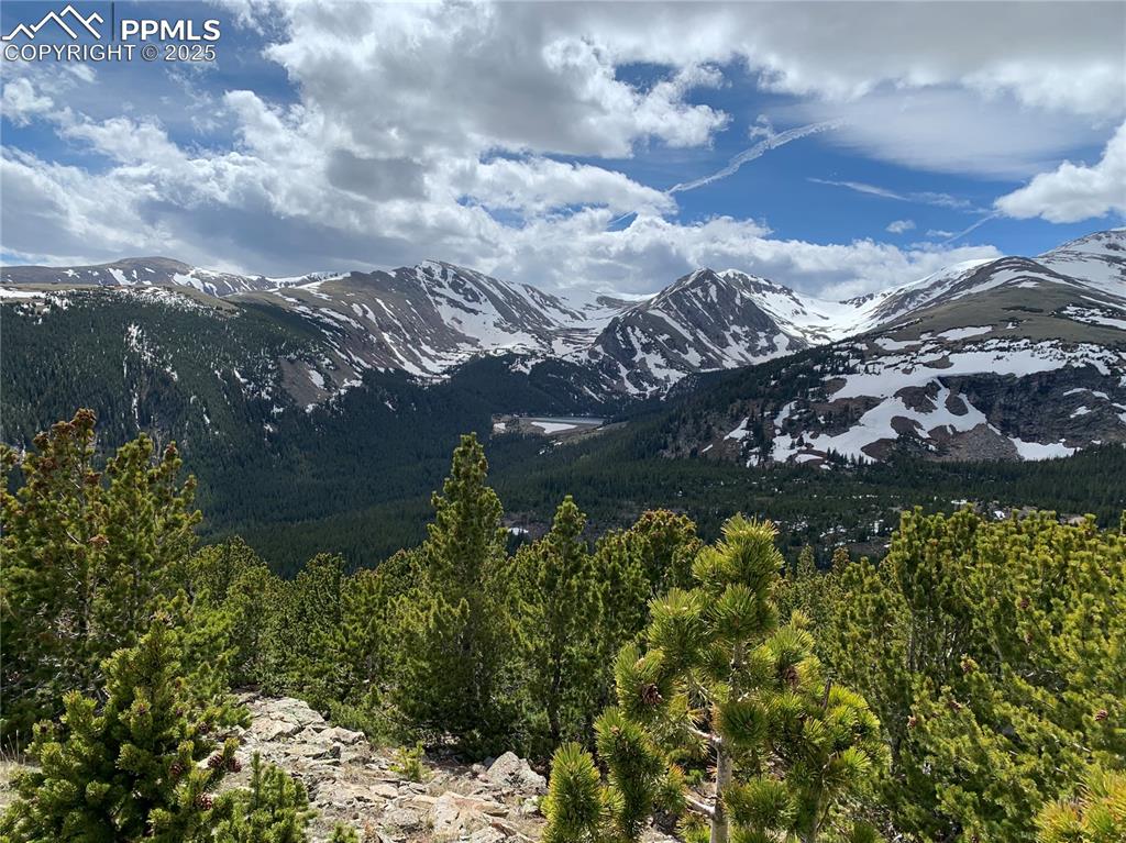 Image 10 of 13: View