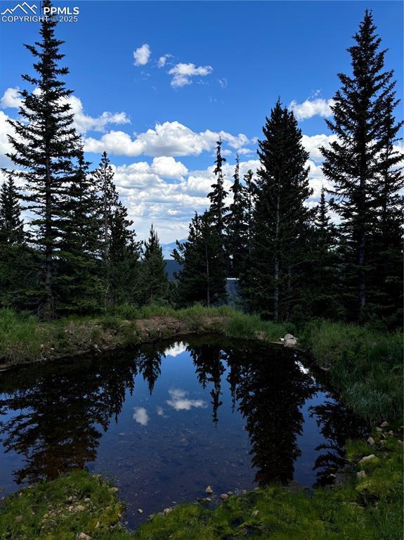 Image 12 of 13: View