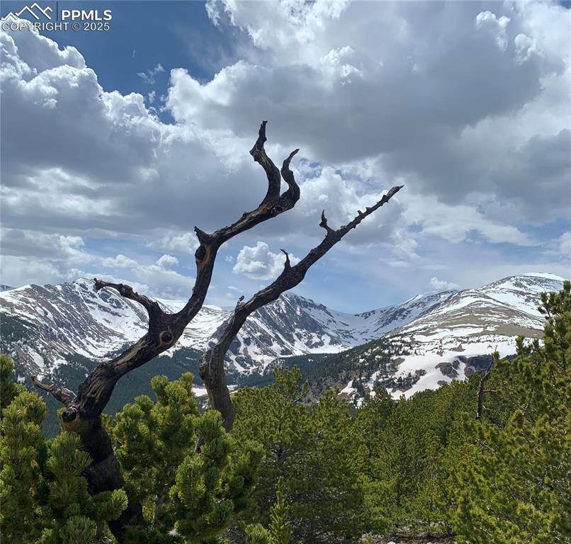 Image 13 of 13: View