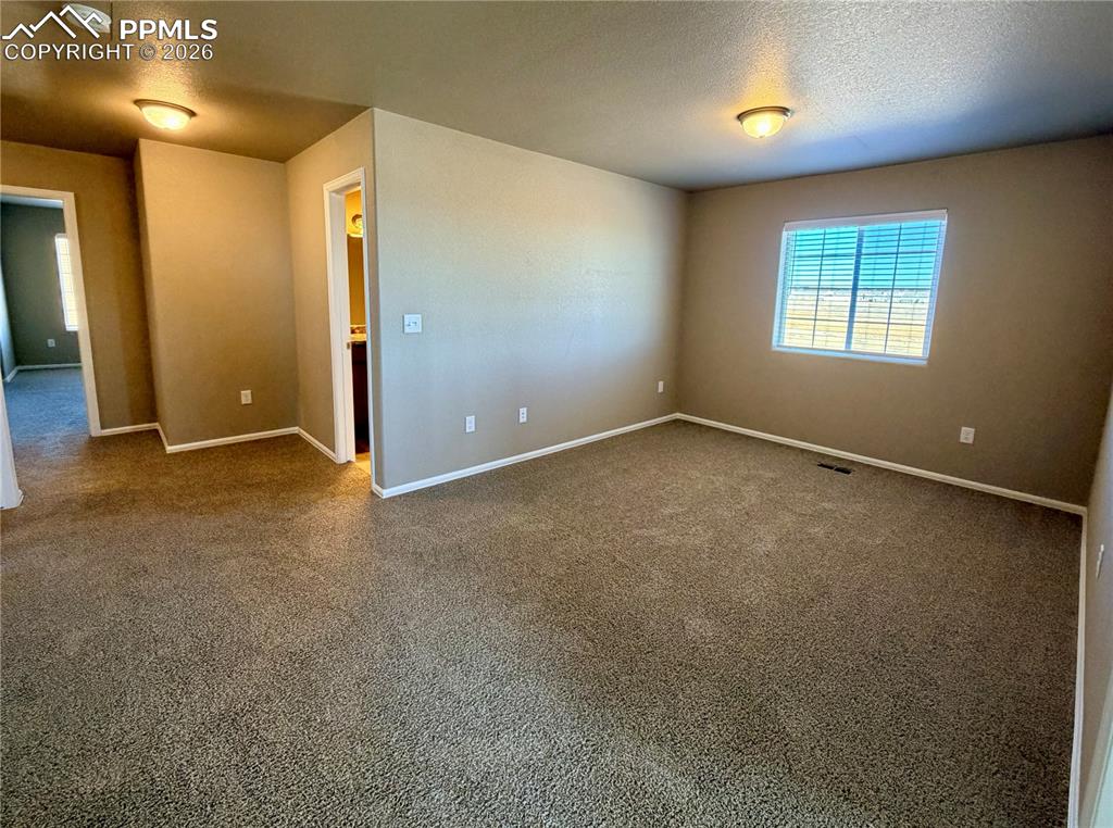 Image 16 of 23: Other