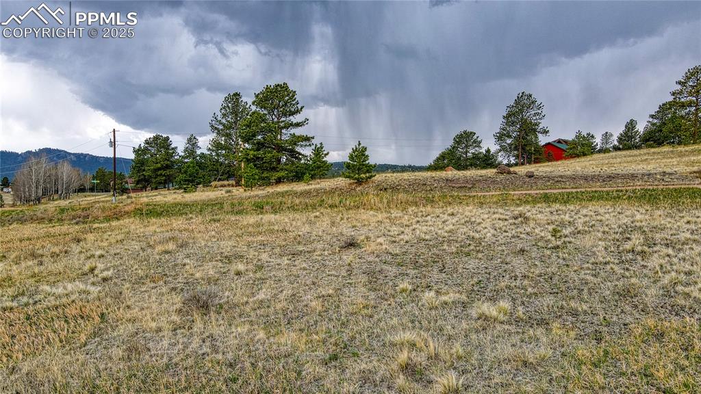 Image 9 of 18: Yard