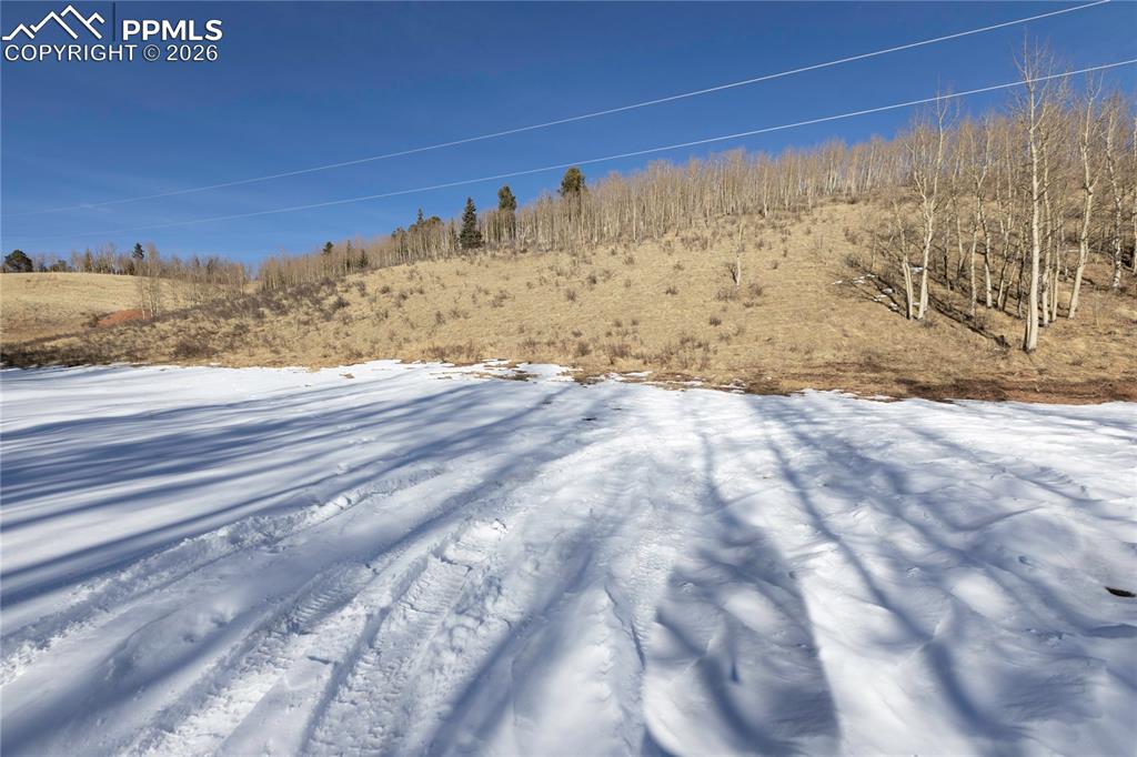 Image 31 of 37: The Yard!