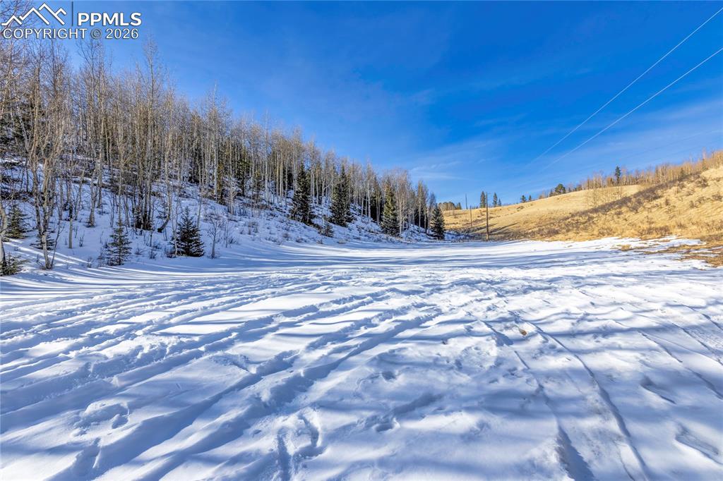 Image 32 of 37: The yard!