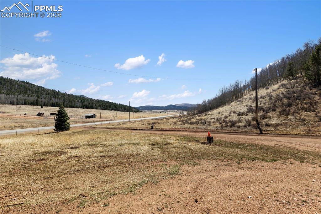 Image 46 of 46: Yard