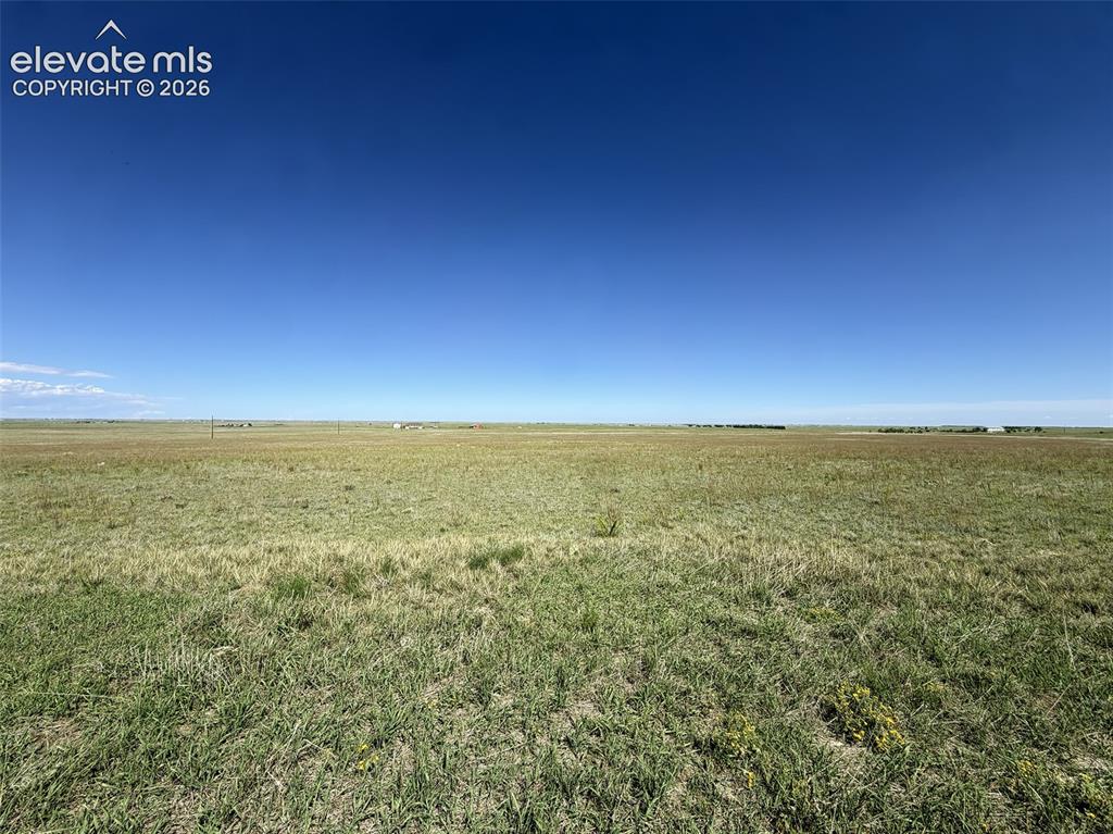 Image 4 of 11: Lot