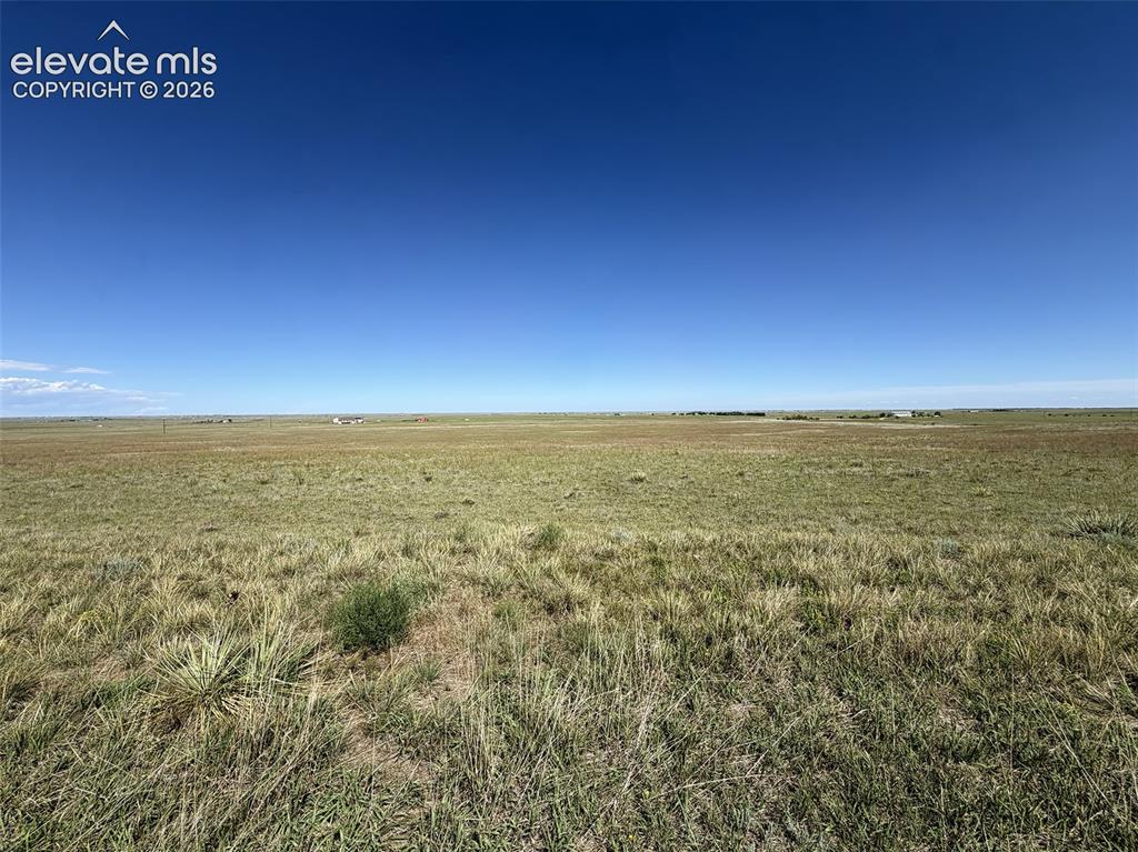 Image 5 of 11: Lot