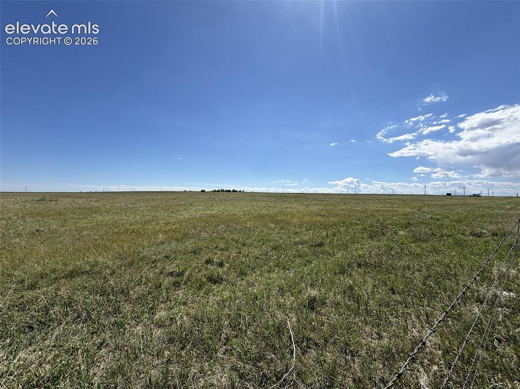 Image 8 of 11: Lot