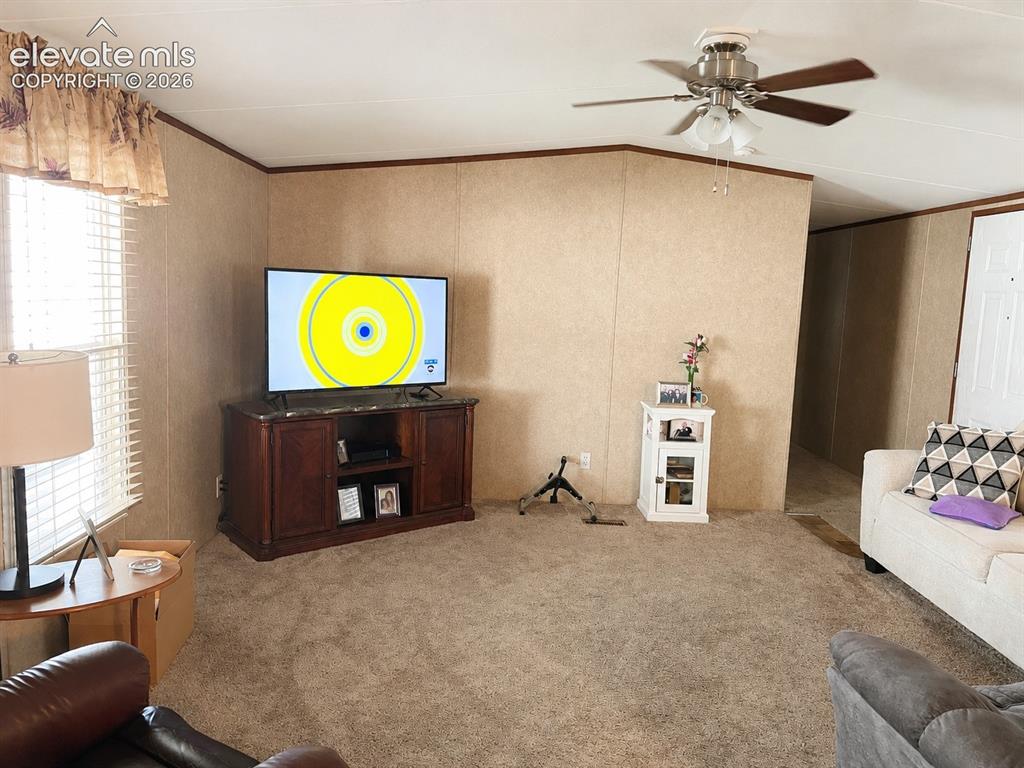 Image 10 of 16: Living area featuring textured wall panels, carpet flooring, and a ceiling