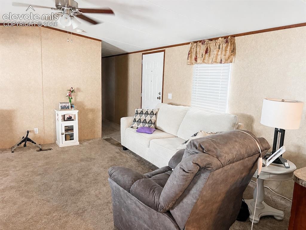 Image 11 of 16: Carpeted living area featuring panel walls and a white entry door