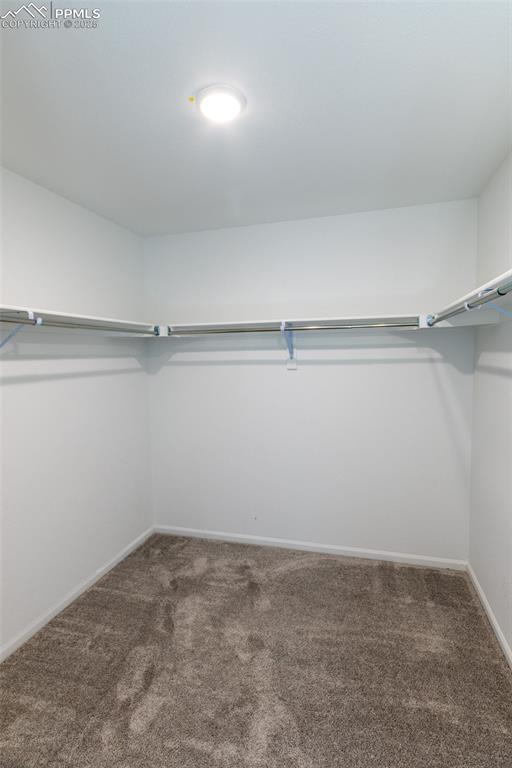 Image 46 of 46: Walk in closet featuring dark carpet