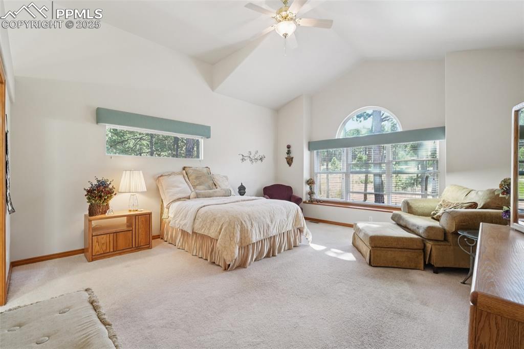 Image 23 of 45: Bedroom featuring multiple windows, carpet, ceiling fan, and high vaulted c