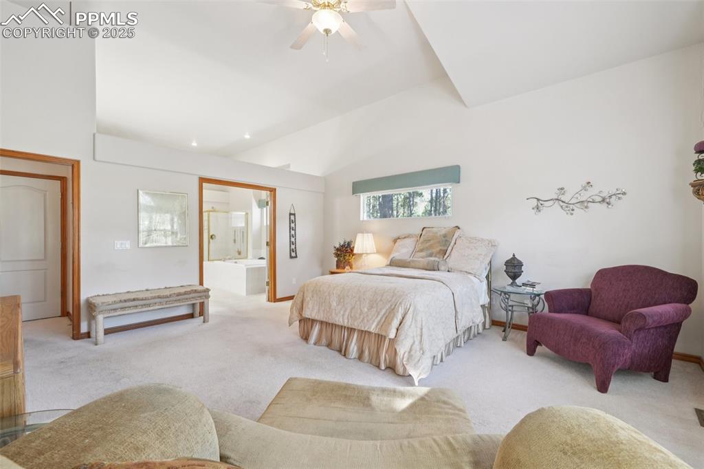 Image 24 of 45: Bedroom with carpet floors, ensuite bathroom, high vaulted ceiling, and a c