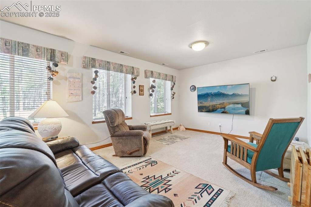 Image 37 of 45: Carpeted walk-out basement living area with baseboards