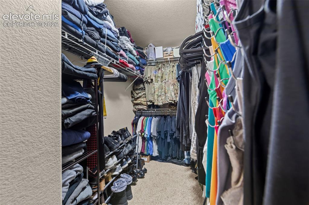 Image 16 of 41: Walk-in closet featuring wire shelving, hanging rods, and carpet flooring