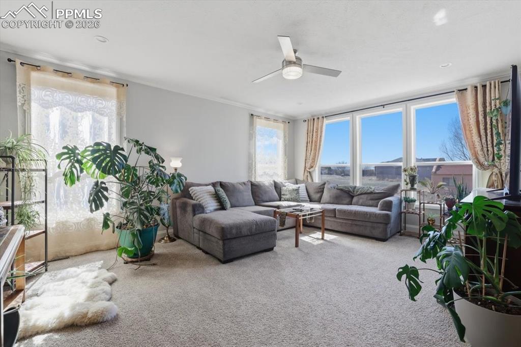 Image 16 of 46: Living Room