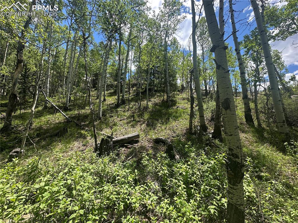 Image 10 of 36: View of upward slope of lot towards back of lot