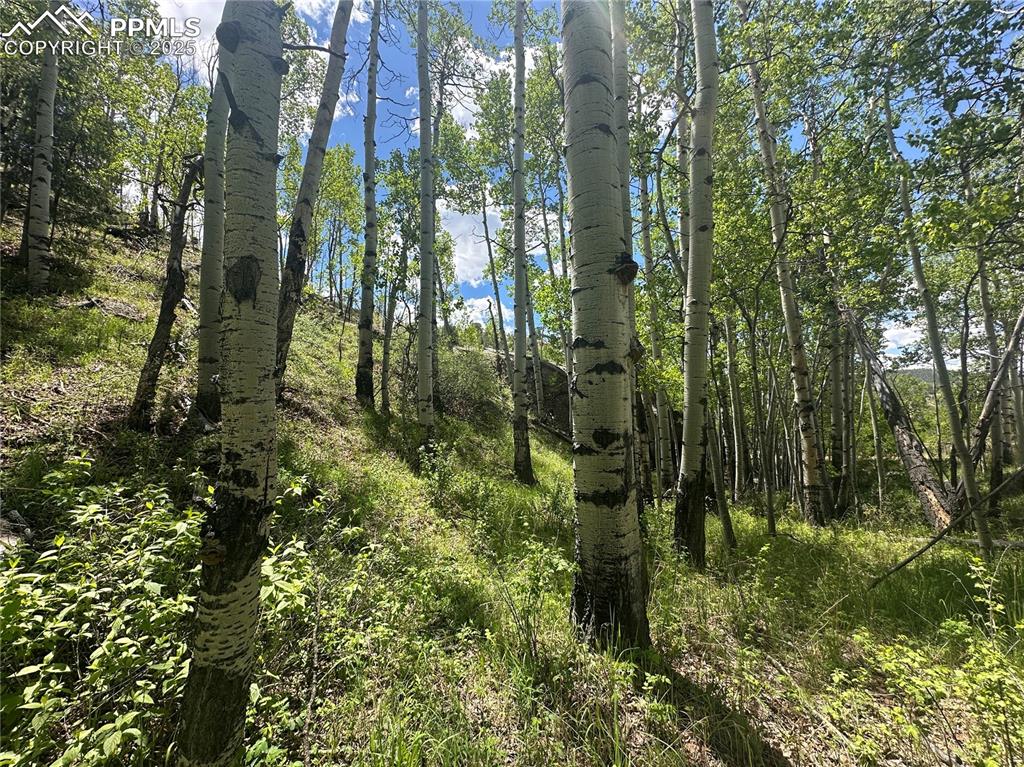 Image 11 of 36: iew of upward slope of lot towards back of lot