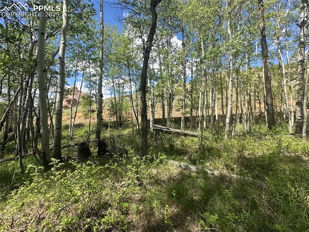 Image 12 of 36: Looking towards road from lot