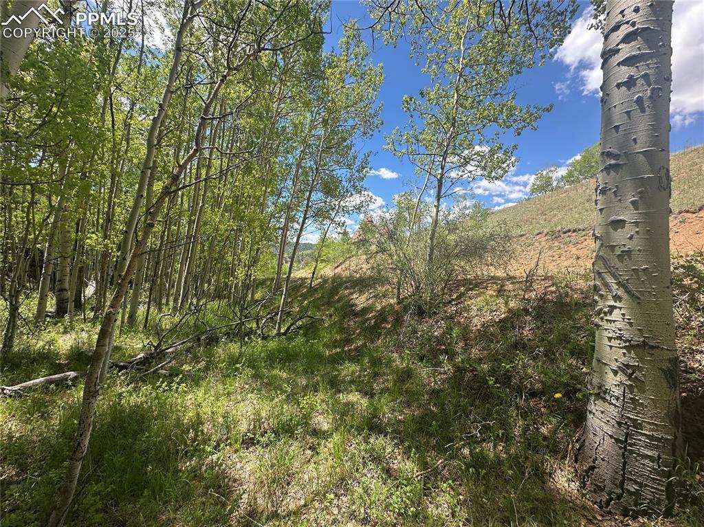 Image 14 of 36: View of road from lot