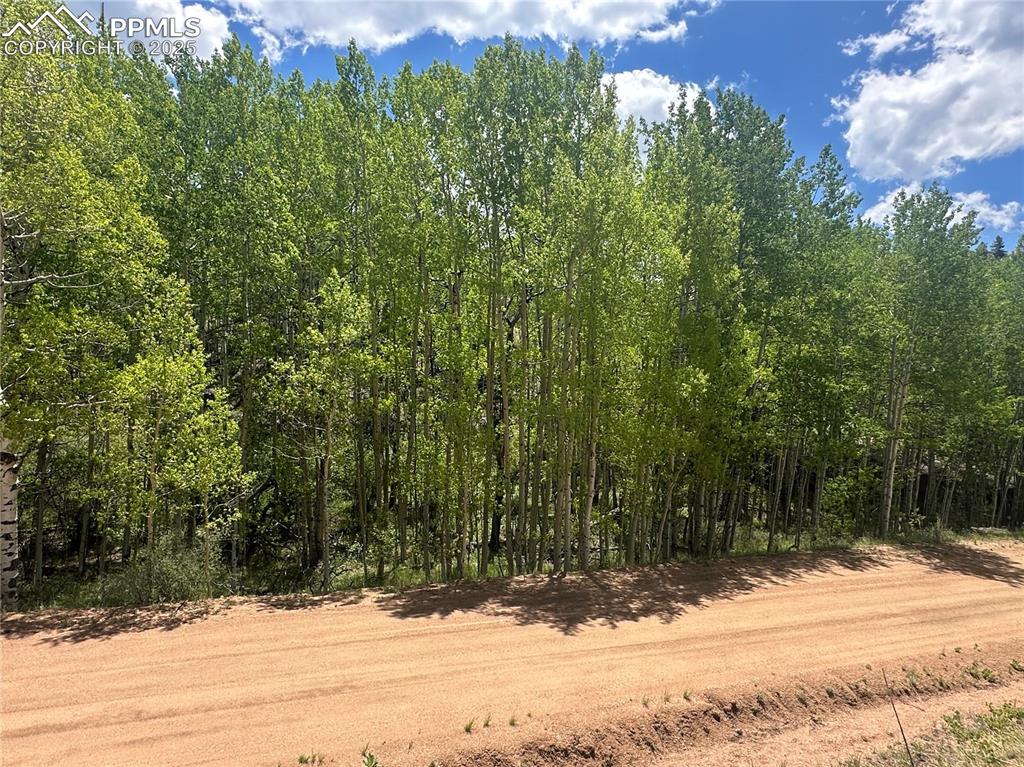 Image 15 of 36: View of lot from across the road