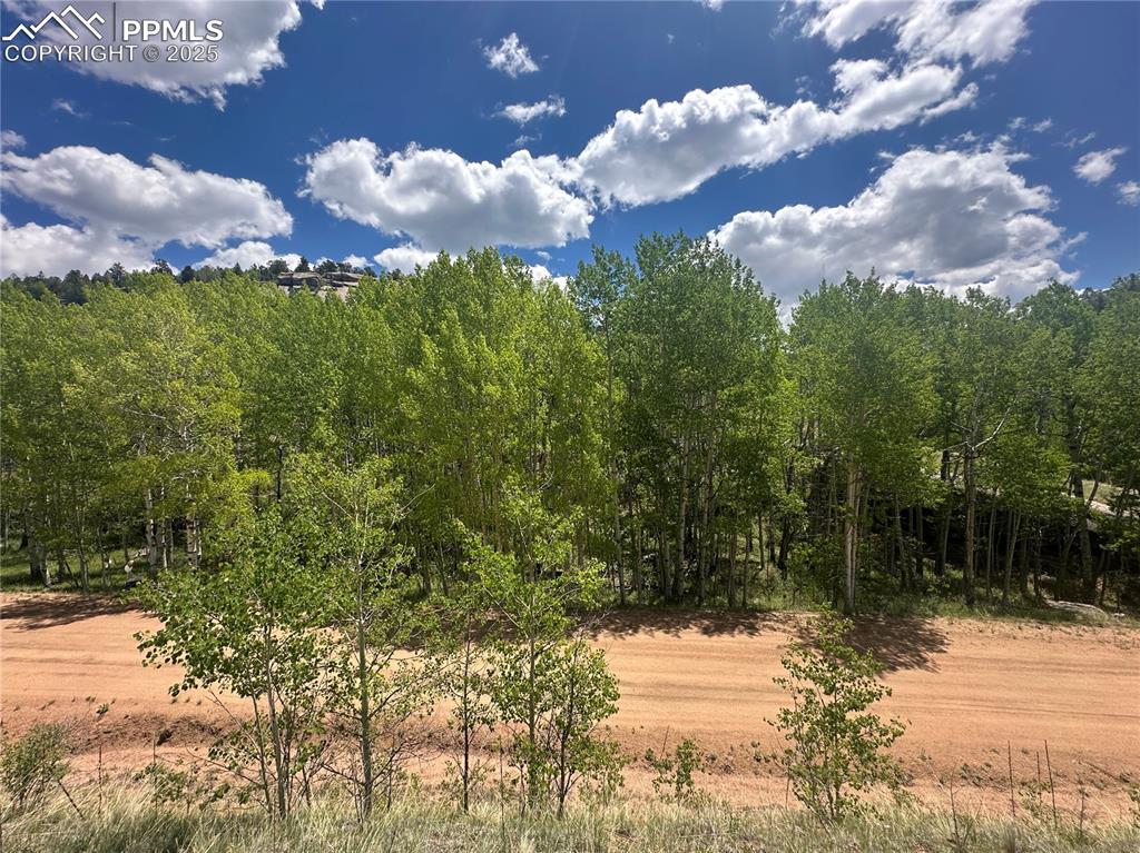 Image 16 of 36: View of lot from across the road