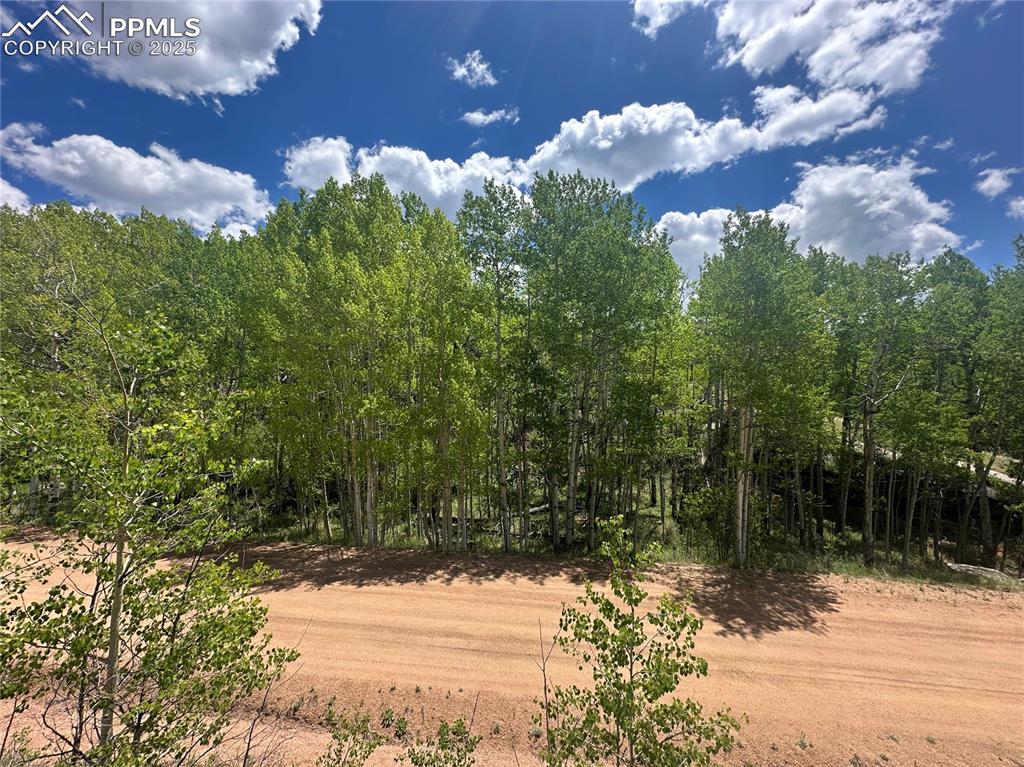 Image 17 of 36: View of lot from across the road