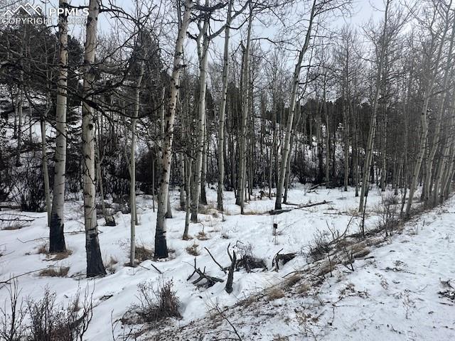 Image 20 of 36: View of lot with road access