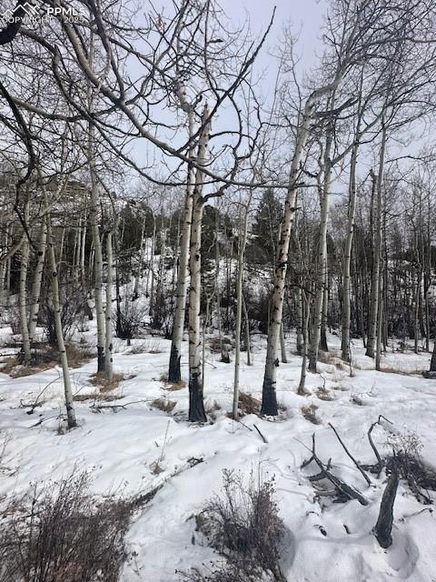 Image 21 of 36: View of snow covered land
