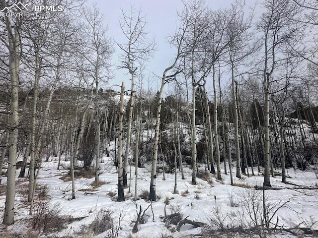 Image 22 of 36: View of snow covered land