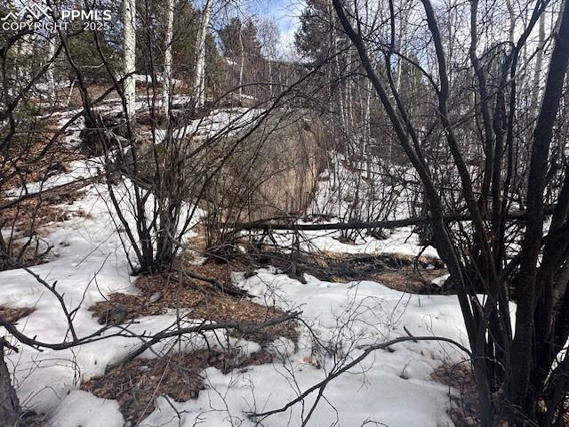 Image 24 of 36: View of snow covered land