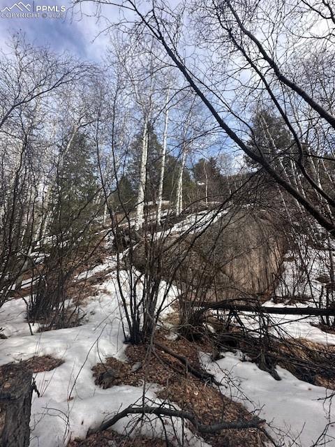 Image 25 of 36: View of snowy landscape