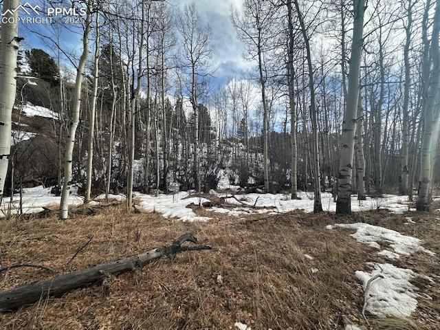 Image 26 of 36: View of snow covered land