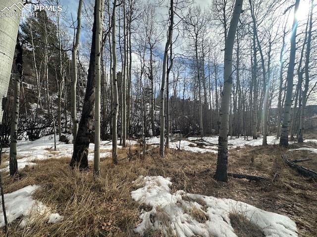 Image 27 of 36: View of snowy landscape