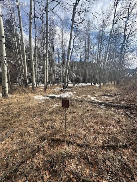 Image 28 of 36: View of yard