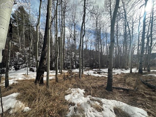 Image 29 of 36: View of snowy landscape