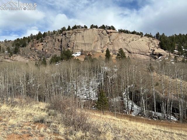 Image 31 of 36: View of lot from across the road