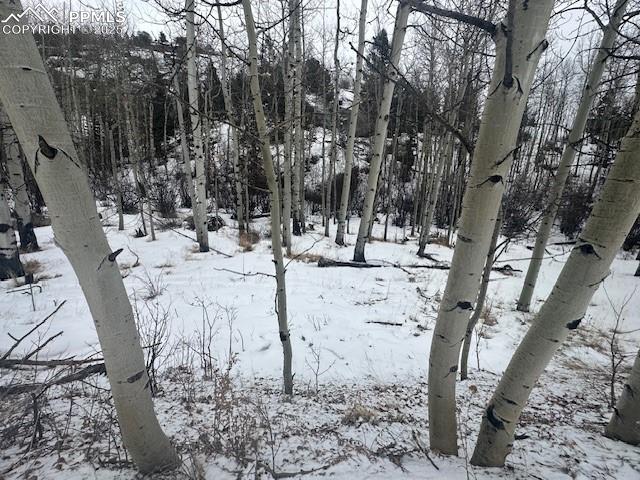 Image 32 of 36: View of snow covered land