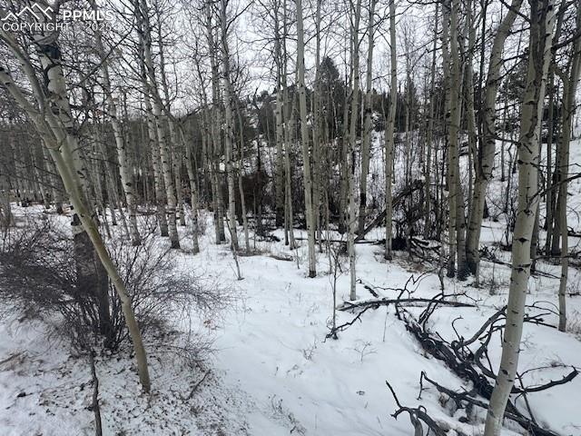 Image 33 of 36: View of snow covered land