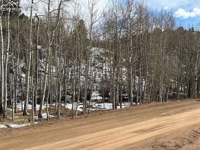 Image 34 of 36: View of lot from across the road