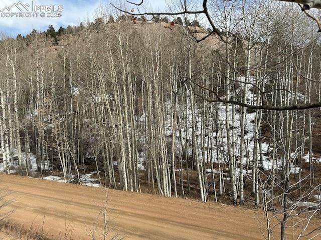 Image 35 of 36: View of lot from across the road