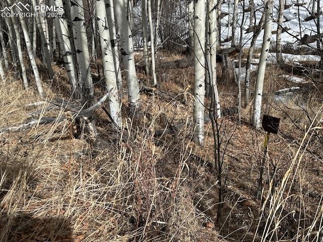 Image 36 of 36: View of corner of lot