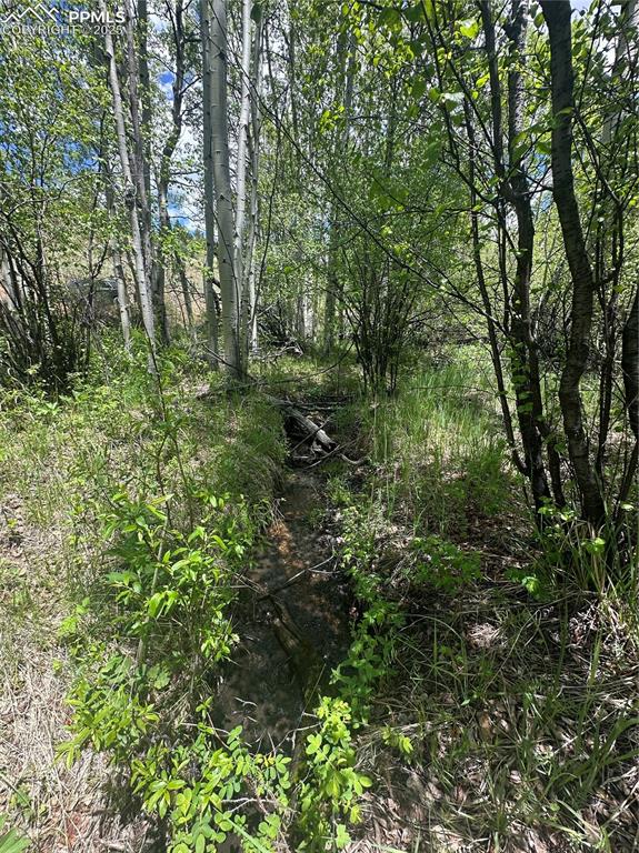 Image 6 of 36: View of gorgeous Aspen tree filled lot w/run off fed creek