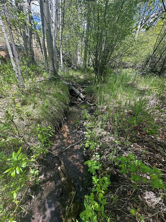 Image 7 of 36: View of gorgeous Aspen tree filled lot w/run off fed creek